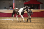 SBM_05637