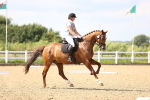 SBM_002231