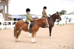SBM_16159