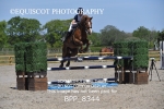 BPP_8344