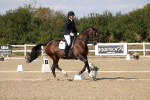 SBM_022572