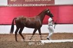 BPP_1204