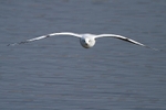 20120324-_MG_9810