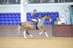 SBM_001508