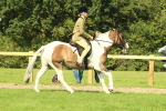 SBM_67466