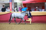 SBM_14691