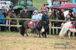 SHETPR 210425 49