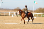 SBM_003445