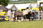 SBM_08765