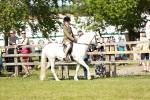 SBM_08454