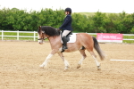 SBM_006419