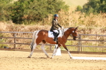 SBM_000387