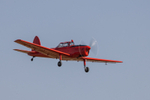 IMG_1154-E