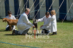 North Show_2014-21