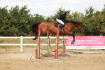 SBM_006207