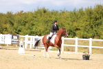 SBM_011858