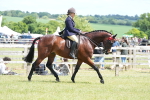 SBM_15876