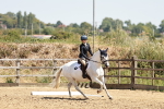 SBM_002773