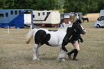 WJ6_6488