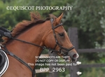 BPP_2963