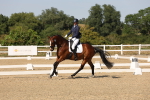 SBM_006444