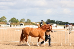 SBM_10956