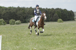 BVHT 140517  NXC -250