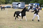 WJ6_5336