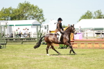 SBM_15465