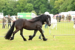 SBM_00476
