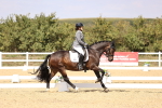 SBM_015024