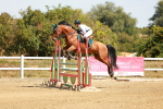 SBM_003094