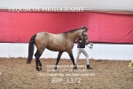 BPP_1372