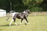 SBM_10428