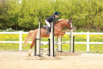 SBM_004945