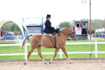 SBM_03390