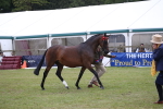 SBM_09842