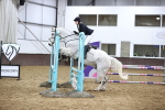 SBM_006646