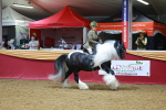 SBM_06372