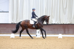 SBM_000528