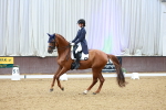 SBM_007225