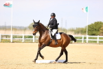 SBM_007940