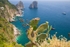 Capri