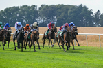 160726-Race 4-Park Lane Penny-4654