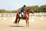 SBM_017037