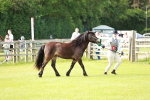 SBM_00638