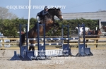 BPP_7528