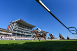 Race 7 5.40pm William Hill Bet In Running Apprentice Handicap portfolio