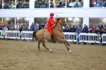 SBM_004250