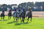 140826-Race 3-Equity Law-1127